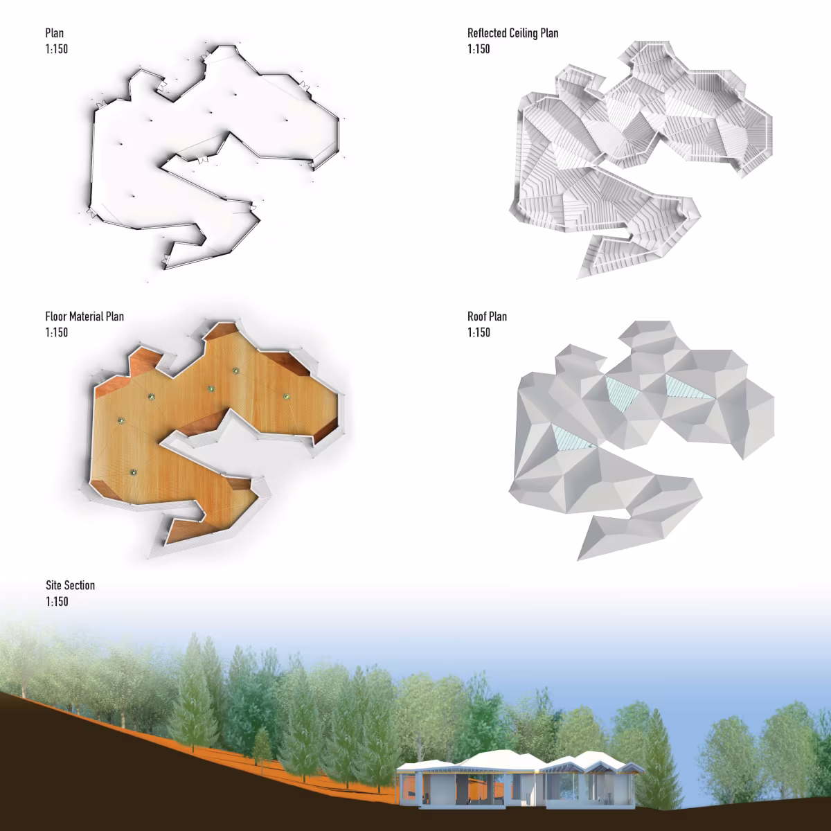 Plan, Reflected Ceiling Plan, Floor Material Plan, Roof plan and Site Section.